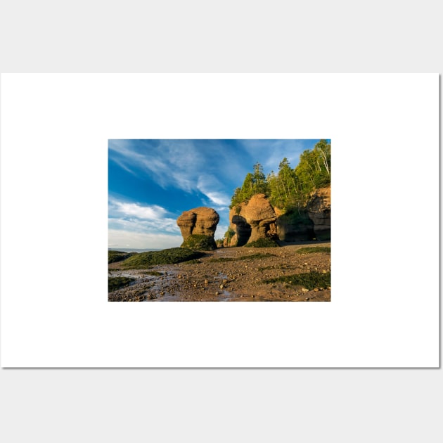 Hopewell Rocks Wall Art by algill